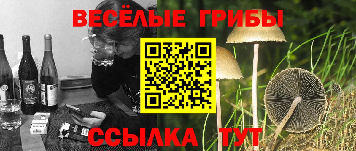 Нурлат  Псилоцибиновые грибы GOLDEN TEACHER  Галлюциногенные грибы Psilocybe  Вход с VPN 