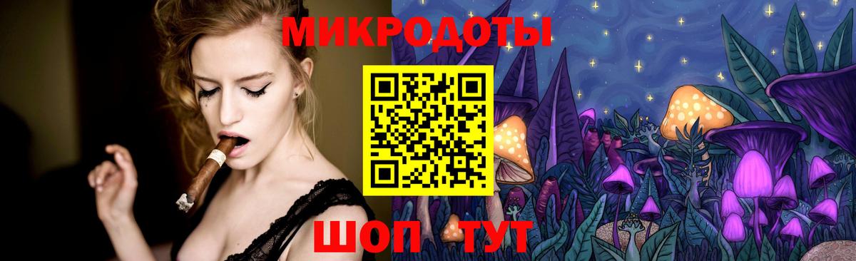 Псилоцибиновые грибы Psilocybe Нурлат